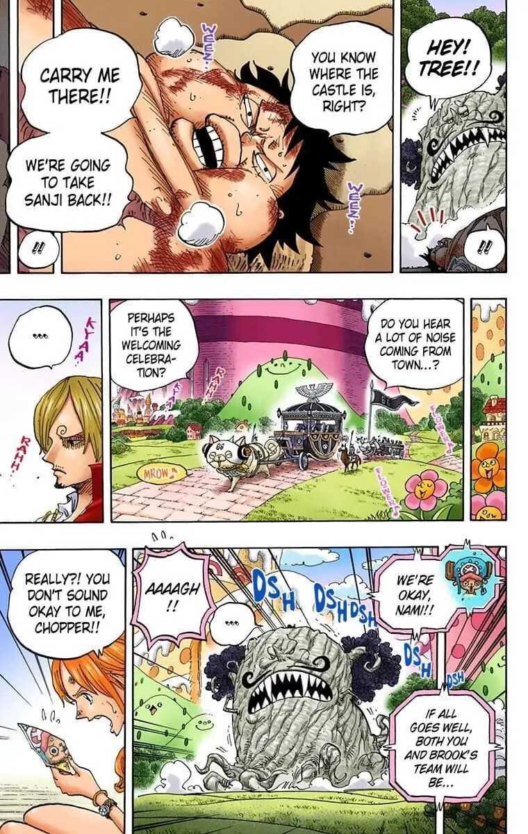 One Piece Digital Colored Chapter 843 image 10
